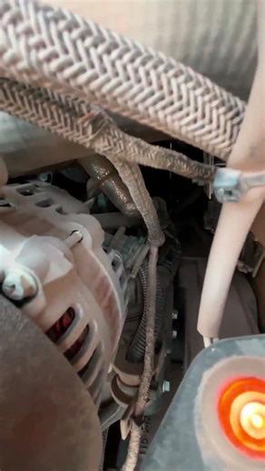 2023 CATERPILLAR 299D3 For Sale