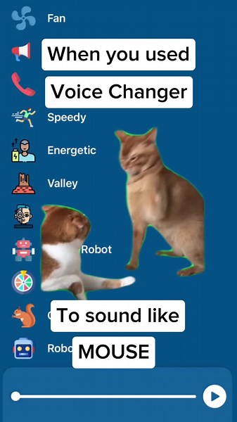 Voice Changer prank #mouse #cat #fight #meme #cats #voice #changer #effects #sound #prank