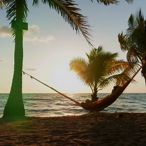 125 reactions · 83 comments | Take a vacation from all those staycations, with everyday low fares to Mexico and the Caribbean. | WestJet | Facebook