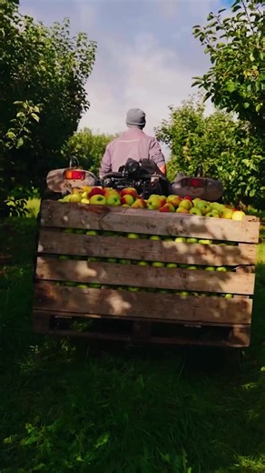 8.2K views | Head to Armagh... and surprise the whole family!  This summer, discover a place where kids can step into living history, enjoy interactive experiences and explore the outdoors — all in one adventure-packed destination. And keep an eye out… our Big Heads are on tour across Armagh! You might just bump into one during your family day out  #HeadToArmagh | Visit Armagh | Facebook