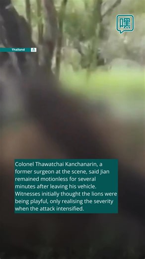 A 58-year-old zookeeper was mauled to death by lions at Bangkok’s Safari World on 10 September. The fatal attack, witnessed by shocked tourists, has raised questions over the zoo’s safety protocols and management of predators in open enclosures. #bangkok #zoo #safariworldbangkok #lions | Heidoh