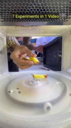 7 experiments in 1 video #microwave #science #experiments #unfrezzmyaccount