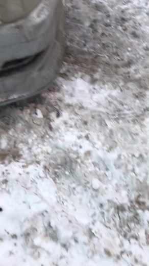 DIMOOOON (@dimooon953)’s videos with