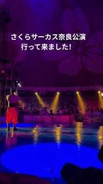 さくらサーカス奈良公演 行って来ました！#rtガレージ