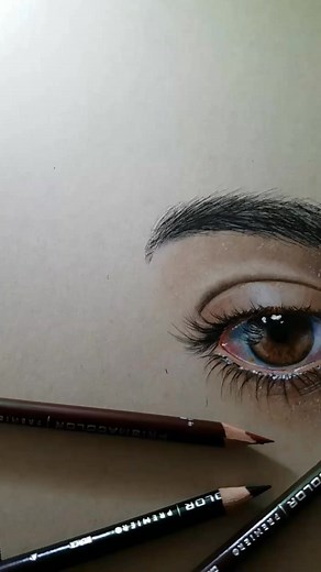 9.8K views · 44 reactions | I used colored pencils on toned tan paper ✍ | Eye Artist | Facebook