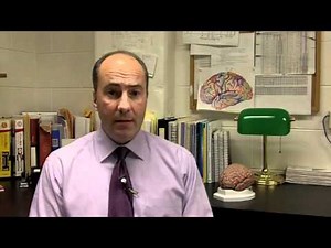 Mark Mapstone: Has Your Brain Crystalized?