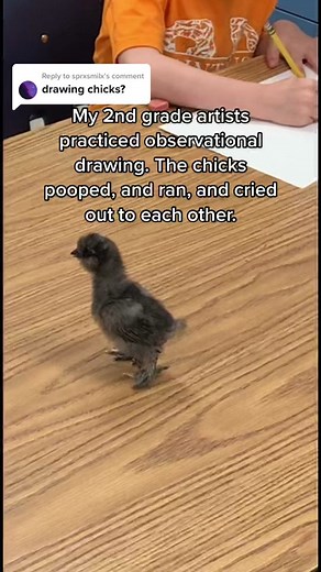 Observational Drawing Techniques for Second Graders