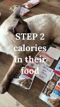 How much should my cat eat?