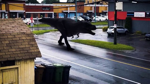 Rex Motion Tracking (Old version)