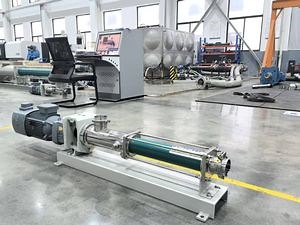 [Hot Item] Customized Precision Crafted Sanitary Screw Vacuum Pump for Chemical Processing