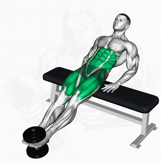 7 seated exercises to strengthen your body at home | Mundo músculos Rutinas