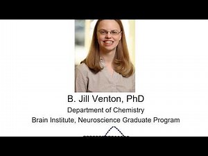 Venton lab: Analytical Neurochemistry