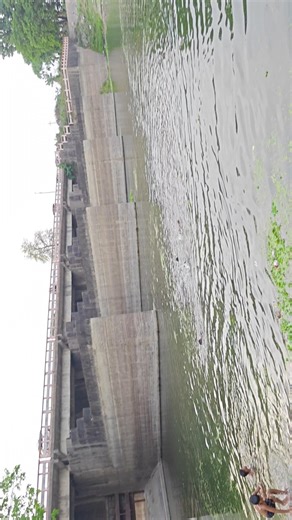 guys subscribe please 🥺 #vlogs