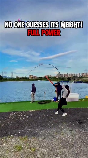 I ALMOST GAVE UP... 😰IT’S A MONSTER!