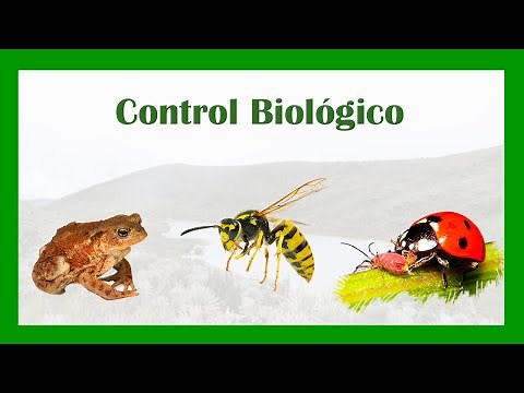 En que consiste el CONTROL BIOLÓGICO