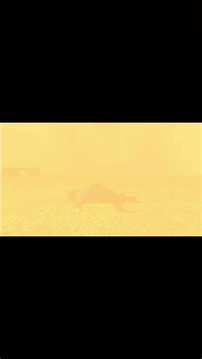 big explosion (garys mod)