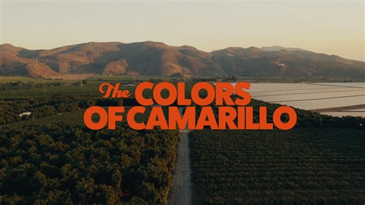 It’s color that brings Camarillo to life. Hues generations in the making, springing to life in stories steeped in history but fully alive in the now. Open your eyes to the Colors of Camarillo, and venture through a valley saturated in story. Introducing The Colors of Camarillo video series. Stay tuned. ✨ #ColorsofCamarillo #VisitCamarillo | Visit Camarillo