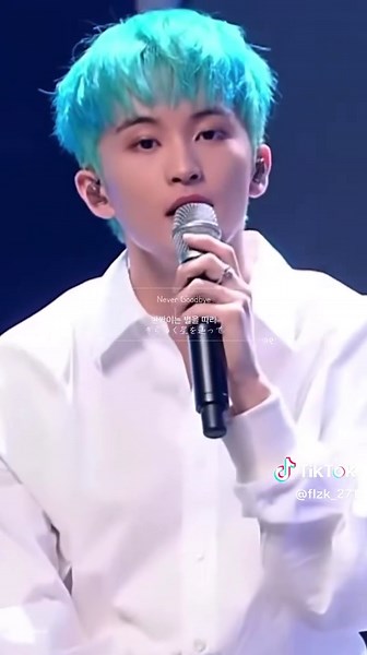 Never Goodbye/NCT DREAM #nctdream #엔시티드림 #和訳 #nctzen #nctzenと繋がりたい