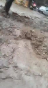 23K views · 80 reactions | addisadmassnews.com on Reels | Facebook