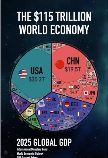 The $115T World Economy. Graphic available in bio. Data source: International Monetary Fund. #economy #news #geography #usa #learnontiktok