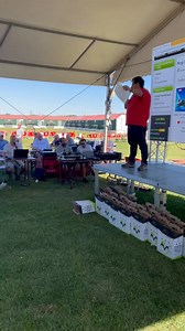 50K views · 675 reactions | Leilão presencial Algarve Golden Race 2015 | Helder Galveia | Facebook