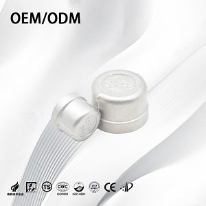 [Hot Item] Stainless Steel ANSI Customization High-Temperature Resistant Threaded End Cap for Pipe Connections