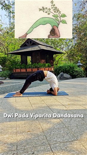 Yoga poses inspired by nature #yoga #yogaposes #yogapractice