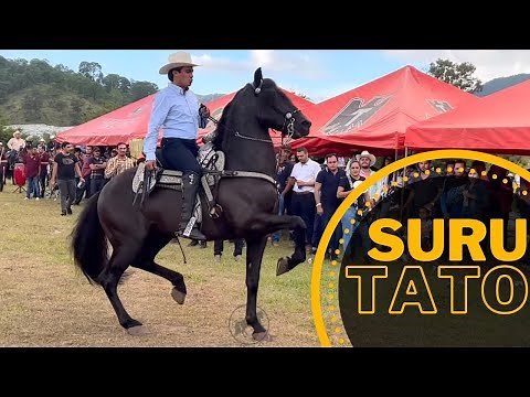 ⭐ CABALLOS BAILADORES EN LA CABALGATA SURUTATO 2022 - 4K P1