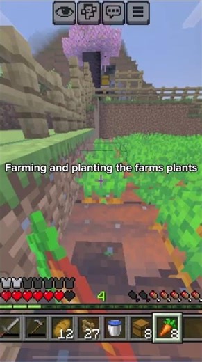 Part 2 of carrot farming… #viral #fyp #carrot #rant #minecraft