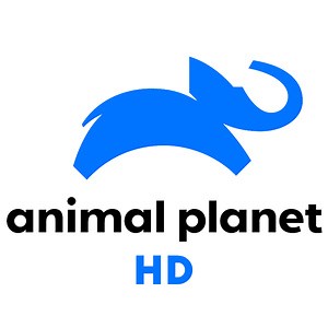 Смотреть Animal Planet HD онлайн в хорошем качестве.