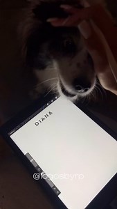 53 reactions · 15 comments | My doggo is also enjoying the process with me ✍️ What’s next?﫰 | Logosbyrp | Facebook