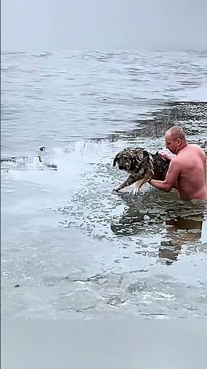 Kind Moments When Humans Help Animals #animals #rescue #animalrescue #animalshorts #love