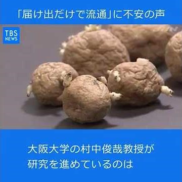 ゲノム編集食品、「届け出だけで流通」に不安の声