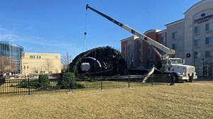 Whoville tree to return for 10th anniversary of Festival of Lights in 2022