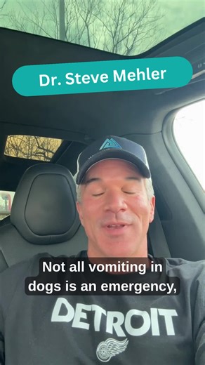 Not all vomiting means panic time. If your dog throws up once, then acts normal, eats, drinks, and keeps food down — it’s often just a mild stomach upset. Call your vet ASAP if you notice: repeated vomiting, blood, lethargy, bloating, pain, or they can’t keep water down. Those can signal something serious. When in doubt, play it safe and check with a vet — early action can make all the difference. #DogHealth #PetParentTips #DogVomiting #VetAdvice #DogCare