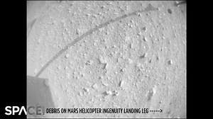👀 NASA is currently investigating the source of debris that can seen in imagery captured during Mars helicopter Ingenuity's 33rd flight on the Red Planet. The flight occurred on Sept. 24, 2022. Read more 👉 https://trib.al/XtDAgDj 🎥: Space.com | footage courtesy: NASA/JPL-Caltech | edited by Steve Spaleta Music: My Mother's Secret by Christian Andersen / courtesy of https://trib.al/D1V1kA5 | Space.com