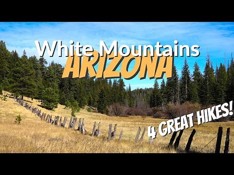 Four hikes in ARIZONA'S WHITE MOUNTAINS | Apache-Sitgreaves National Forest | Greer, AZ
