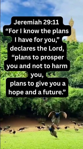 God’s Promise for Your Future | Jeremiah 29:11 | Daily Bible Verse & Encouragement