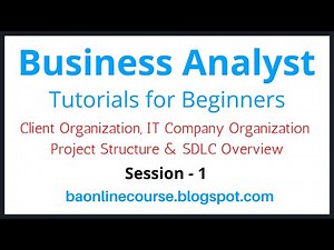 Business Analyst Tutorials for Bebinners | Client Organization | Project Structure | IT Company Org