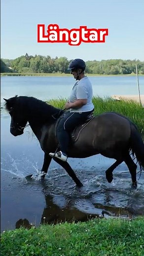 Längtar efter isfria vägar och sjöar nu! #horseriding #islandshäst #horse