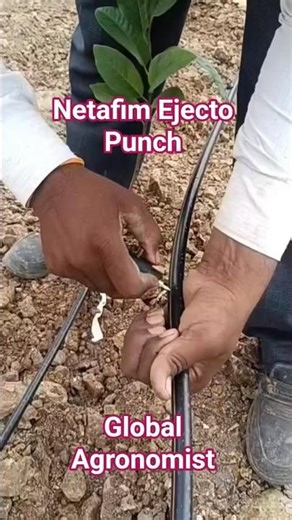 Netafim Ejecto Punch | Punch for Dripper | Netafim PCJ Dripper Punch #netafim #farming #jugad #agri