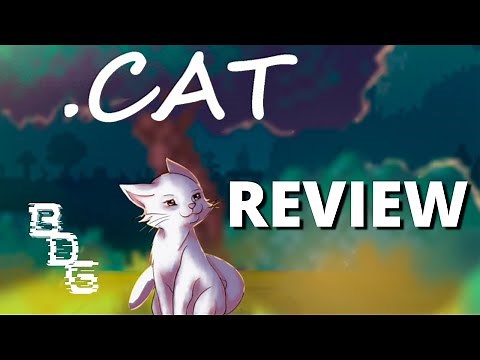 .cat Switch Review