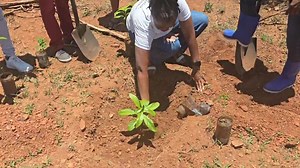 3K views · 36 reactions | Yesterday, Khulumani FM team commemorated Tree Planting Day, promoting a noble cause that benefits our environment and community. Tree planting is a simple yet powerful way to conserve biodiversity, mitigate climate change, purify the air, and support local ecosystems. | Khulumani FM 95.0 | Facebook