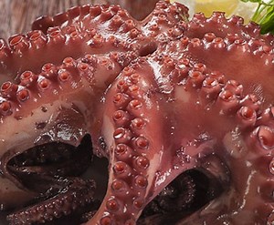 Whole Octopus 2-2.5 kg - Frozen Fish Direct
