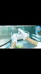 🔴 Microbial(Bacterial) Culture Methods Part-2: Please watch Part:01 on YouTube https://youtu.be/uYo0PLyhjDU #MLT #MLS #microbiology #microbiologist #reelsviralシfb #shortsreels #foryoupagereels #reelsfypシ #reelstrending #trendingreels #short #shortsviral #trendingvideo #trendingreelsvideo #trendingpost #trendingnow #trend #shortsvideos #shortsfeed #followme #followforfollowback #follow #followerseveryonehighlights #follower #followersreels #molecularbiology #lectures #reelsviralシ #reelschallenge