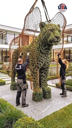 fox and friends Very beautiful tiger garden in home #usa #america #foxnews #foxandfriends