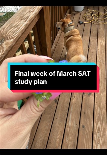 Achieve High Scores on the Digital SAT: A Study Plan