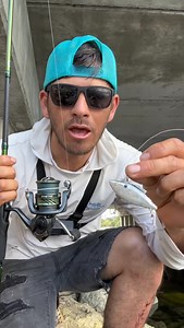 Pesca de pavones | Pesca Con Chuy