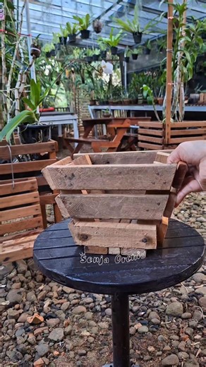 45K views · 412 reactions | Planting phalaenopsis orchid on wooden pots #fblifestyle #plantingorchid | Senja Orchid | Facebook