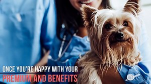 K9 Intro Video 001a full 16x9